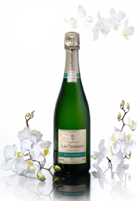 Champagne de Telmont Blanc de Blancs