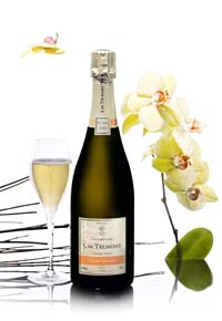 Champagne de Telmont Vintage Champagne de Telmont Vintage
