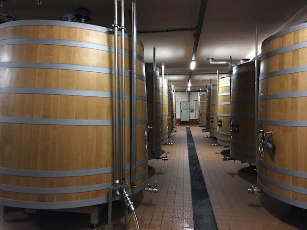 Cuves en bois utilisées pour la première fermentation des terroirs orientés au Nord afin de leur donner plus de texture via une ouverture avec le bois