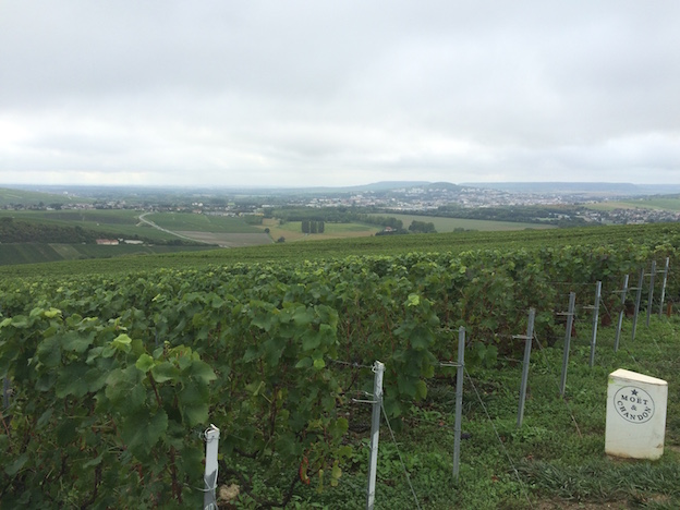 Vue de la parcelle sur la fin de la Vallée de la Marne, et au fond la ville d'Epernay 