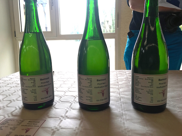 Riceys vins clairs 2015 : vinification différente de Pinots Noirs de la parcelle Barmont
