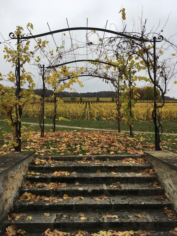 Jardin Salon dernière la maison, parcelle grand cru du Mesnil-sur-Oger