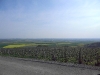 dscn1120
