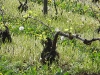 dscn1137