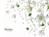 champagne-perrier-jouet