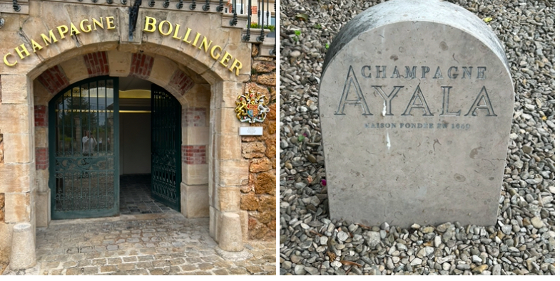Visite à Aÿ Champagne chez Ayala et Bollinger